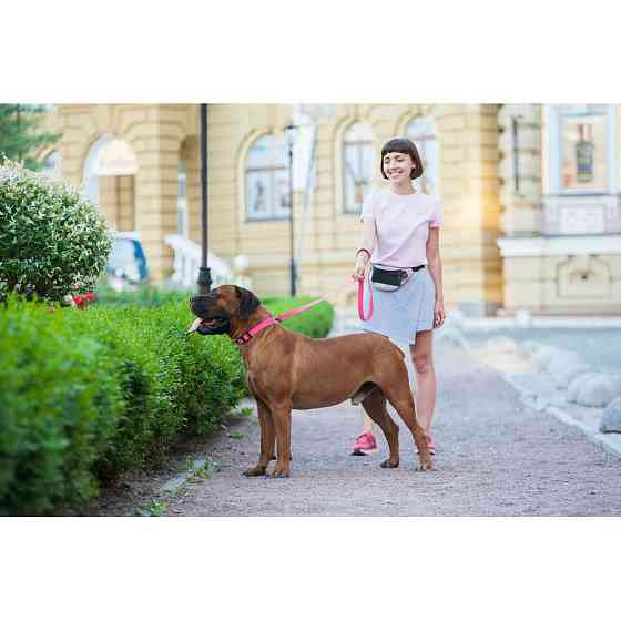 Повідець для собак водостійкий WAUDOG Waterproof, L-XXL, Ш 25 мм, Дов 183 см рожевий Коломыя