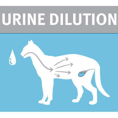 Вологий корм для кішок Purina Pro Plan Hydra Сare для збільшення споживання води та розведення сечі (7613038944593) Вінниця - фото 6