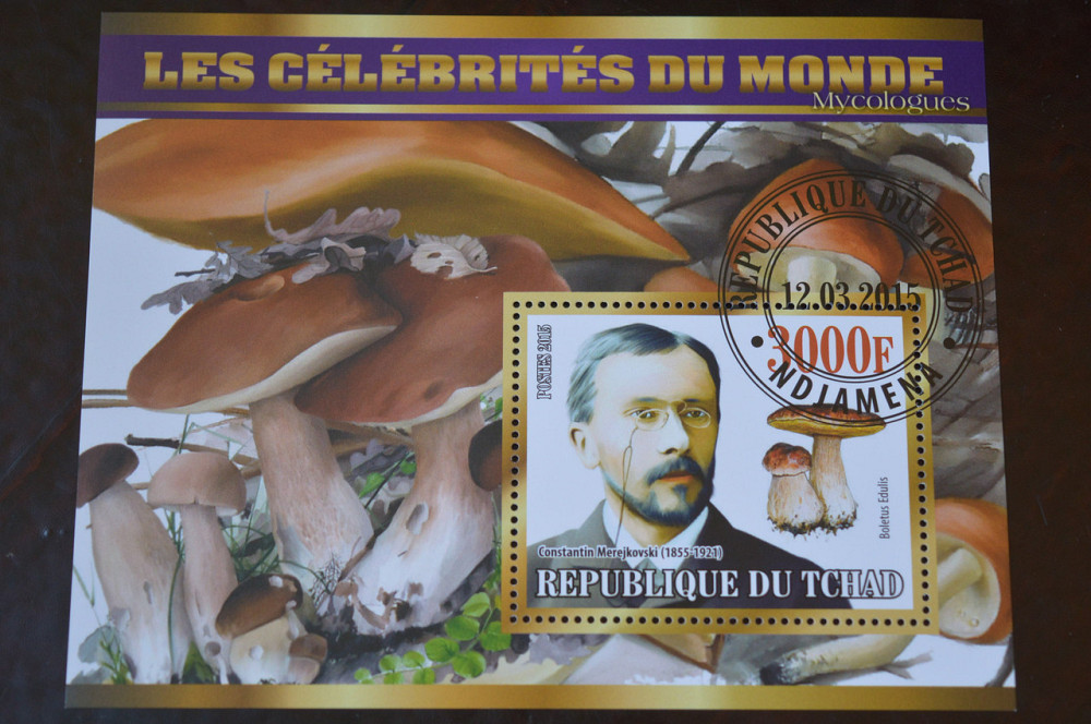 Чад. История. Личности. Блок. 2010 год (Б-4) Полтава - изображение 1