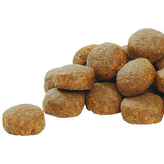 Сухий корм Purina Pro Plan Puppy Large Robust для цуценят великих порід 12 кг Вінниця