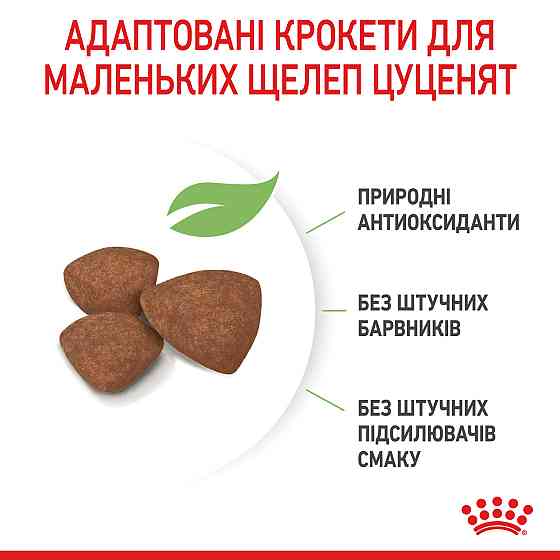 Royal Canin Mini Puppy (Роял Канін Міні Паппі) сухий корм для цуценят дрібних порід Запоріжжя