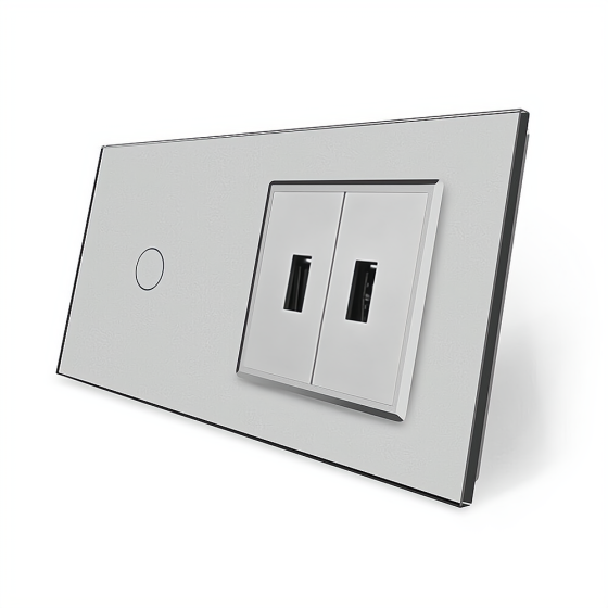 LIVOLO Сенсорний вимикач 1 сенсор 2 USB Livolo сірий скло (VL-C701/2USB-15) Коломия