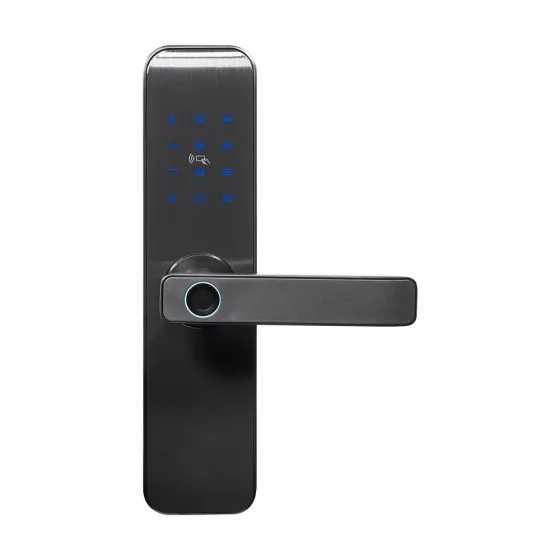 Замок біометричний автономний Trinix TRL-7703WF Black L/R з Bluetooth, зчитувачем відбитків пальців і карт Mifare (65-00082) Киев