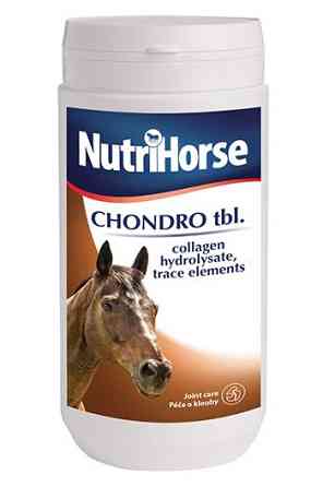 Nutri Horse Chondro (Нутрі Горсе Гондло) вітамінна кормова добавка 1000 р. Запоріжжя