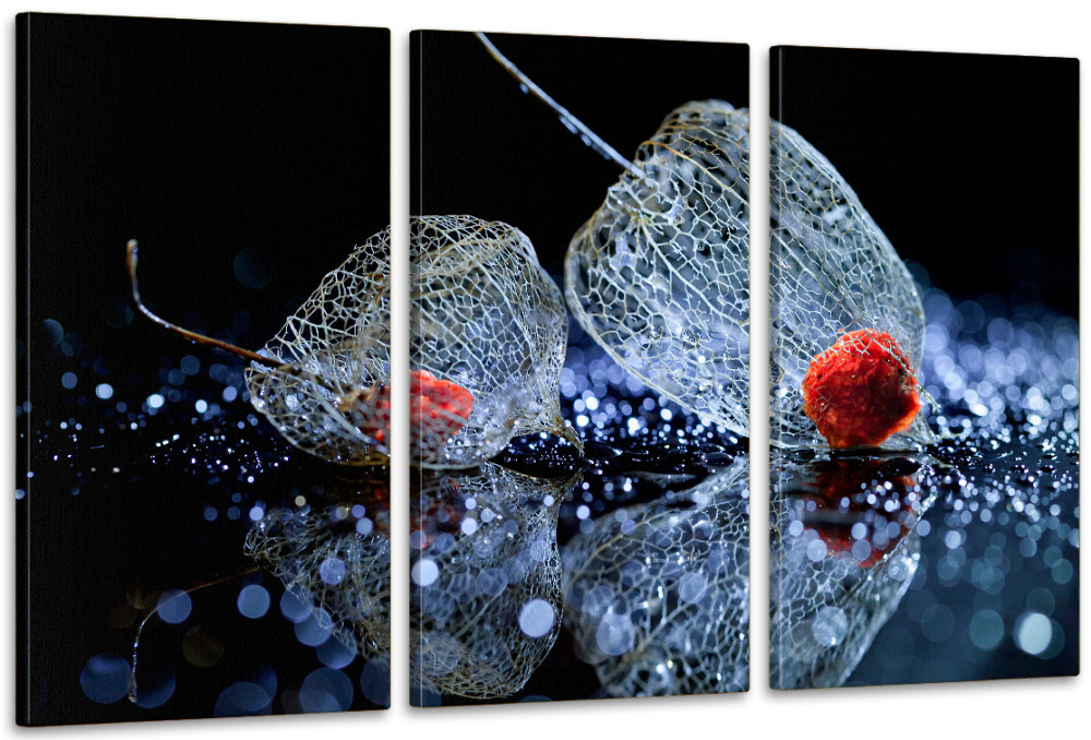 Модульная картина в гостиную / спальню   Фізаліс    ART-304_3A 70х130 см Киев - изображение 1