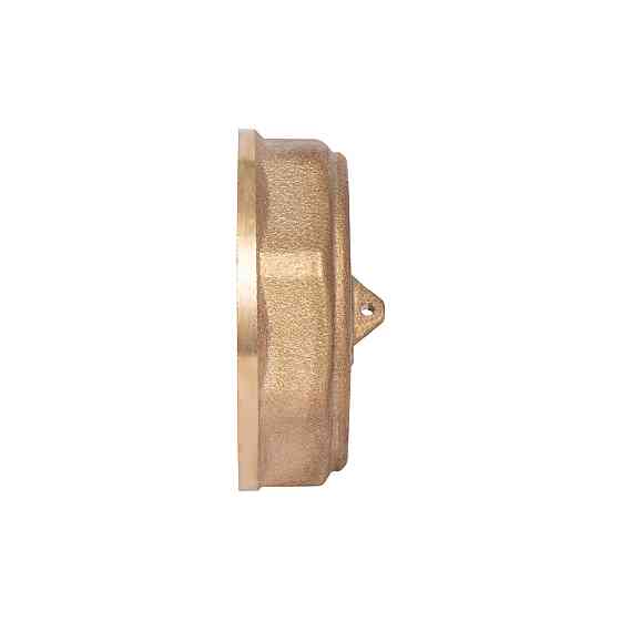 Заглушка Thermo Alliance Standart 1 1/2" ВР SD40240 Київ