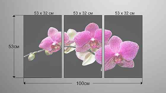 Модульная картина Орхидея Аrt-133_3А Киев