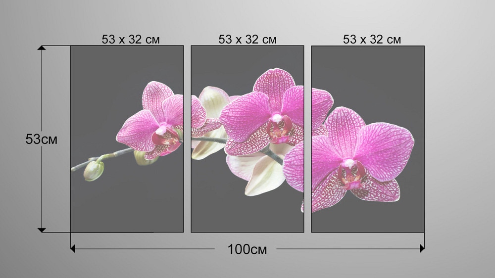 Модульная картина Орхидея Аrt-133_3А Киев - изображение 3