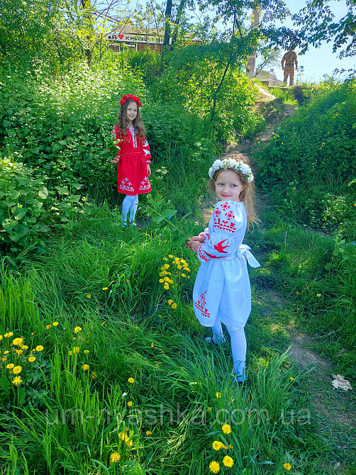 Платье вышиванка белое с ласточками 104-158 Кривой Рог - изображение 5