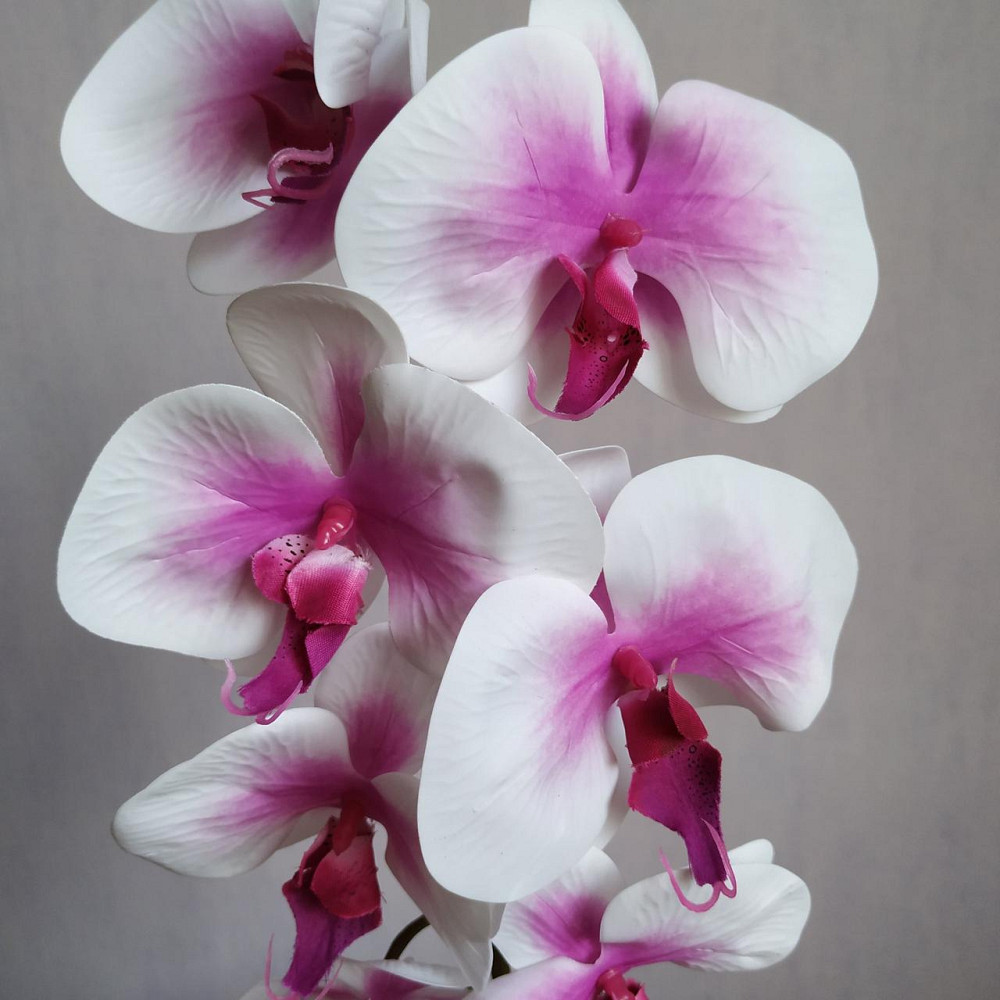 Штучна латексна орхідея VIP у малиновому керамічному кашпо на одну гілку біло-бузкова Дніпро - фото 2