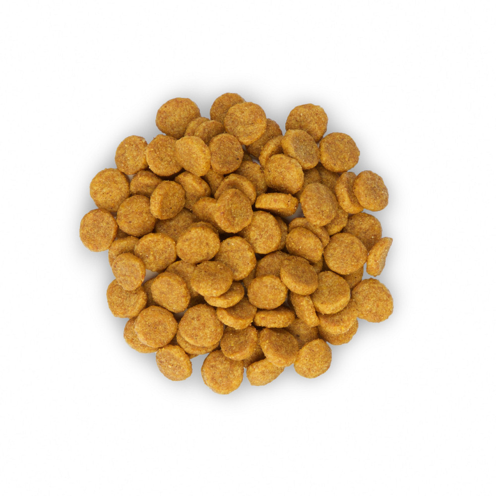 Hills Science Plan Feline Mature Adult 7+ Chicken (Хиллс СП Филайн Матюр Эдалт для котов старше 7 лет Курица) 10 кг Запорожье - изображение 3