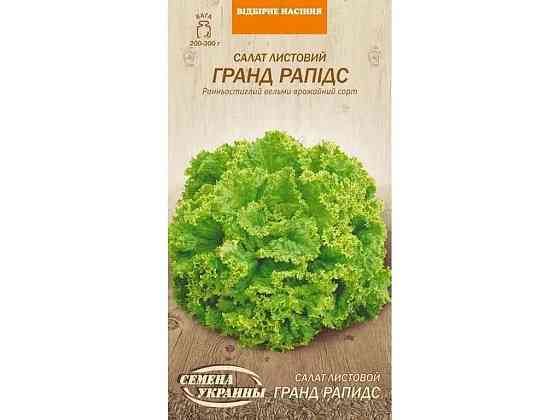Салат листовий ГРАНД РАПИДС ОВ 1г (20 пачок) (рс) ТМ НАСІННЯ УКРАЇНИ Київ