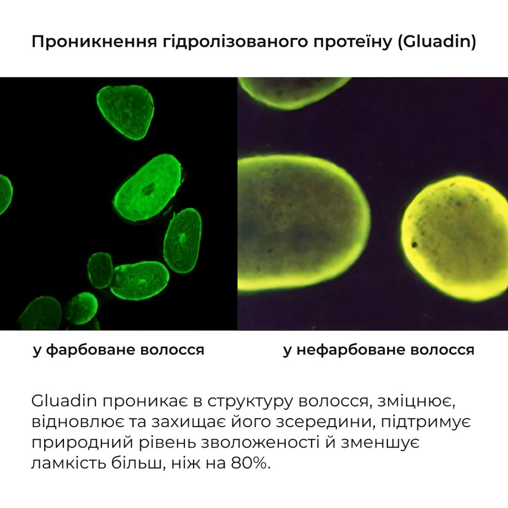 Шампунь та сироватка для волосся Concentrate Serenoa + кондиціонер проти випадіння волосся Київ - фото 9