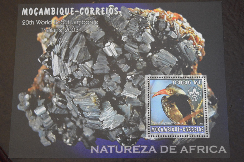 Мозамбик. Фауна. Блок. 2015 год (В-7) Полтава - изображение 1