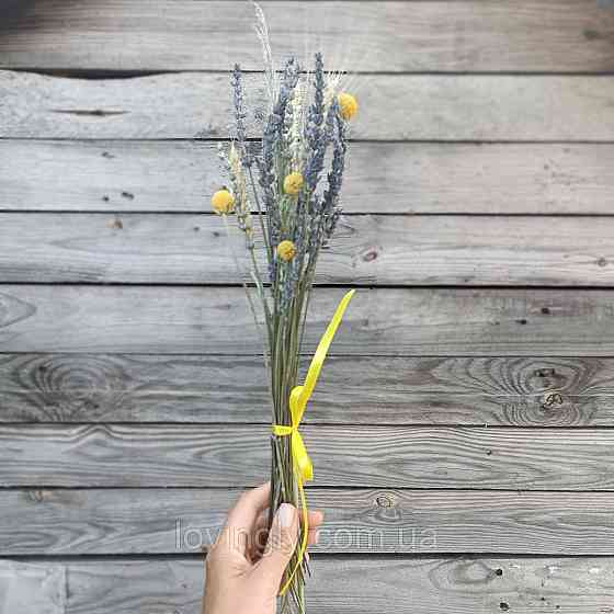 Букетик из сухоцветов кермек и лаванда Ирпень