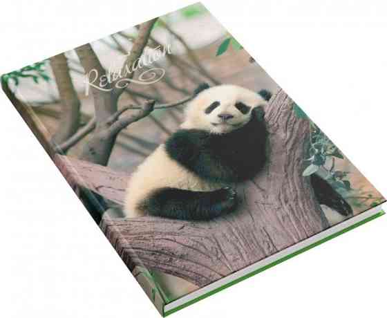 Книга канцелярська А4/176 арк."Аркуш""Панда" # офсет, тверда обкл., 1В2375, шт Київ