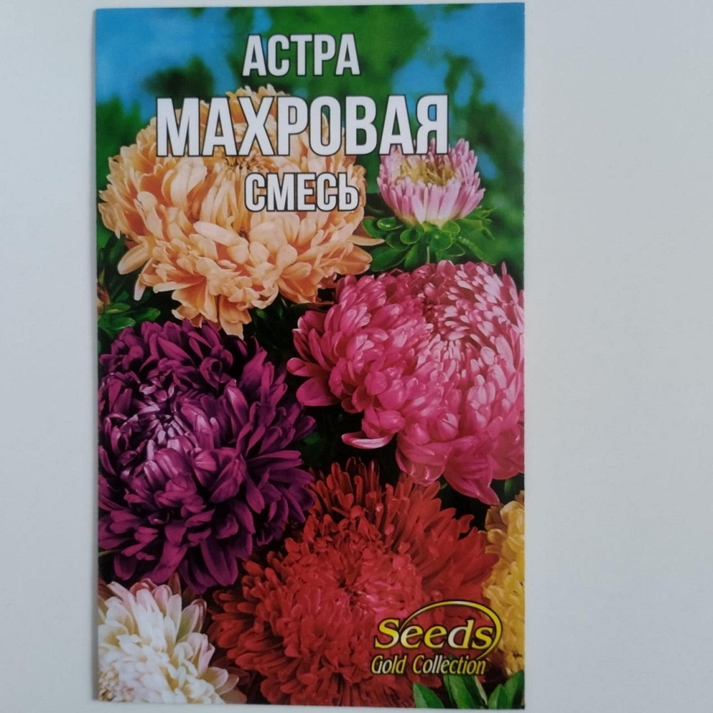 Семена цветочные Астра 