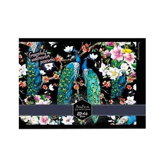 Альбом для малювання АМ-ГП-120-24 на спіралі Павичі Вінниця