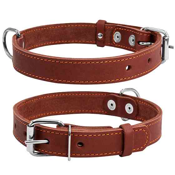 Нашийник "CoLLaR" одинарний (ширина 35мм, довжина 48-63см) коричневий Київ