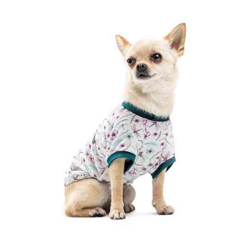 Футболка Pet Fashion Flora для собак бавовна трикотаж біла з квітковим принтом S Київ
