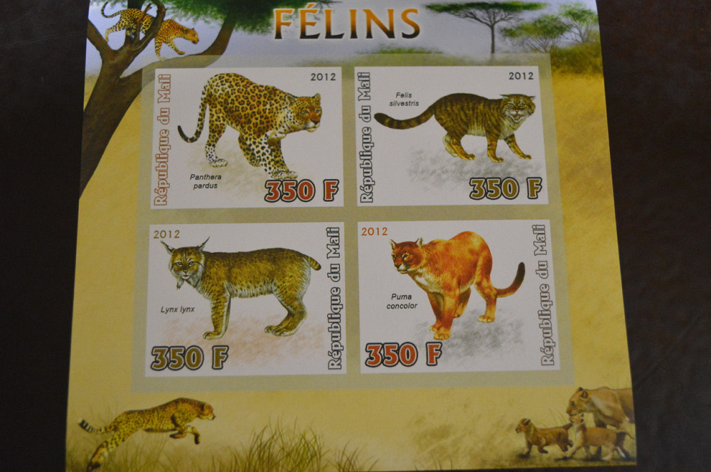 Мали. Фауна. Блок. 2014 год (А-20) Полтава - изображение 1