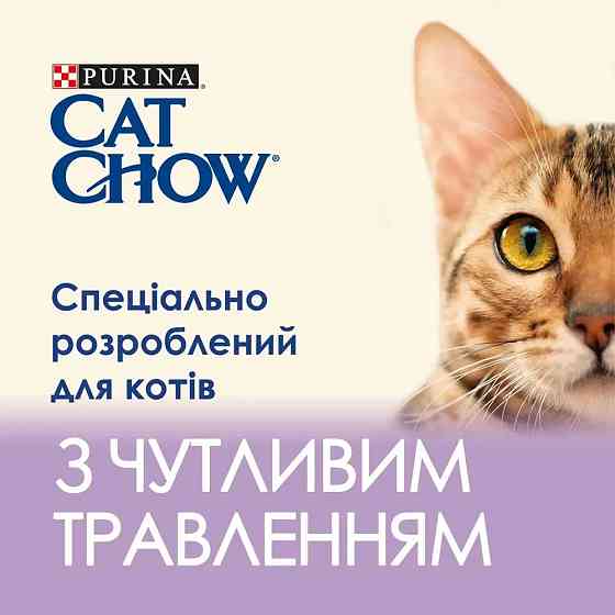 Вологий корм CAT CHOW Sensitive для дорослих котів із чутливою системою травлення, шматочки у підливці, з лососем та цукіні, 85 г Київ