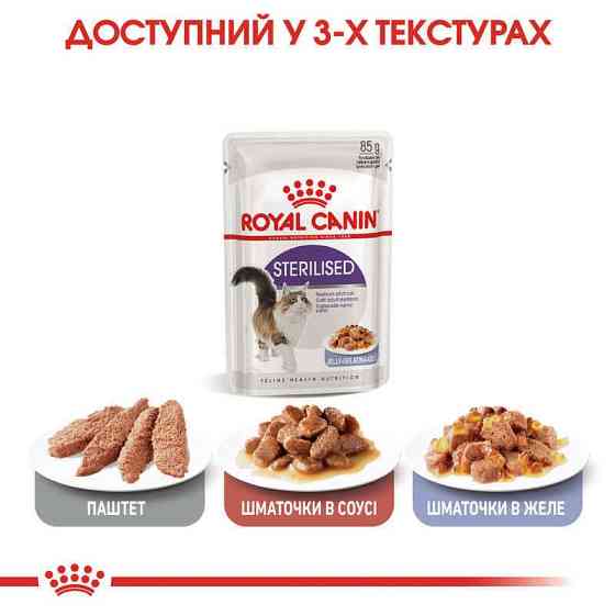 Royal Canin Sterilised Jelly (Роял Канин Стерелайзд желе) влажный корм для стерилизованных кошек 85 г х 12 шт Запорожье