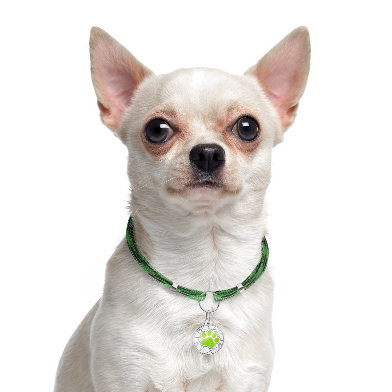 Шнурок для адресника для собак, котів і кішок з паракорду, мотузочок для адресника Barksi Зелений Одеса - фото 1