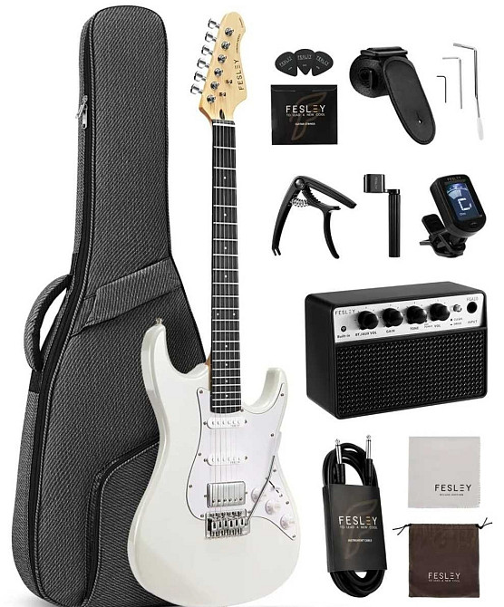 Электрогитара Fesley FST100 (комплект) Харьков - изображение 7
