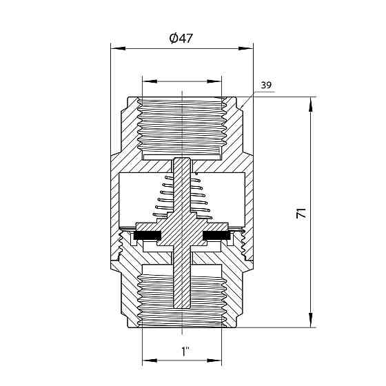 Обратний клапан Thermo Alliance Forte 1