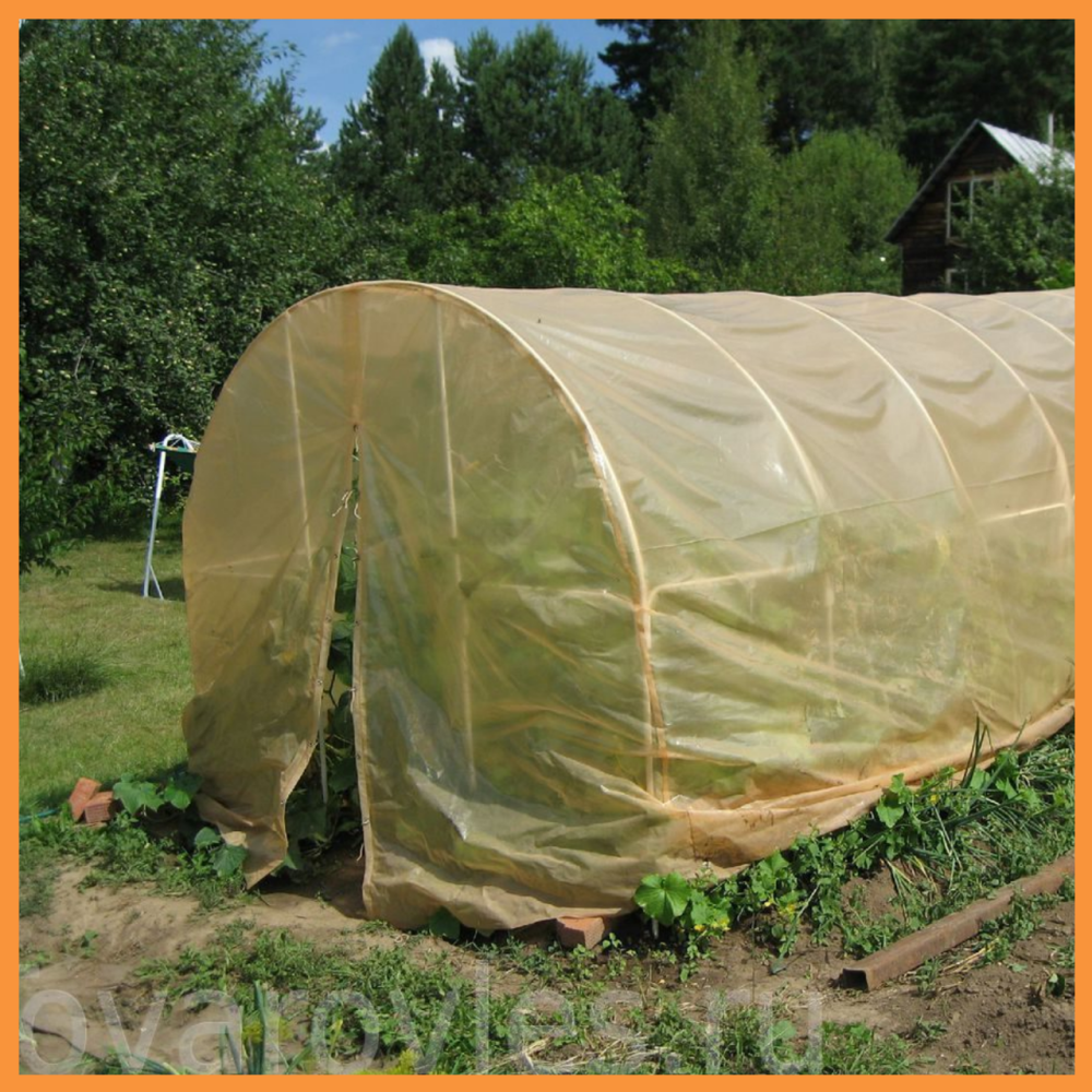 Пленка 80 мкм 6х50м. полиэтиленовая для укрытия парников и теплиц  УФ 12 месяцев Днепр - изображение 4