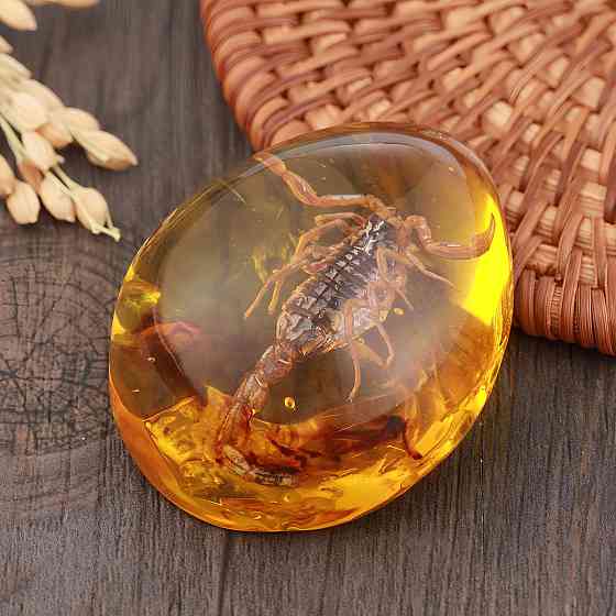 Скорпион в янтаре 5.5*4 см янтарный камень с насекомым, инклюзы в янтаре, имитация янтаря Киев