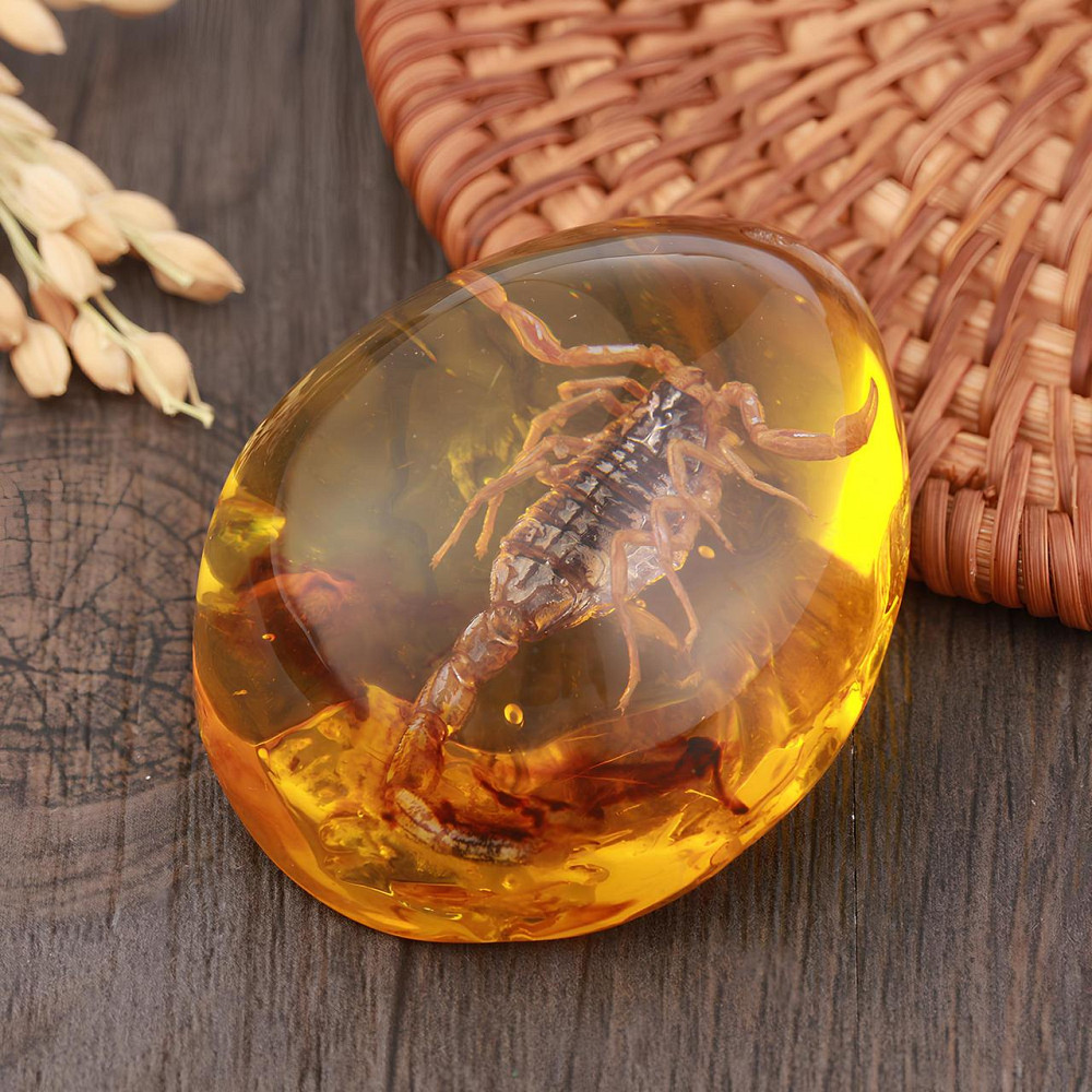 Скорпион в янтаре 5.5*4 см янтарный камень с насекомым, инклюзы в янтаре, имитация янтаря Киев - изображение 1
