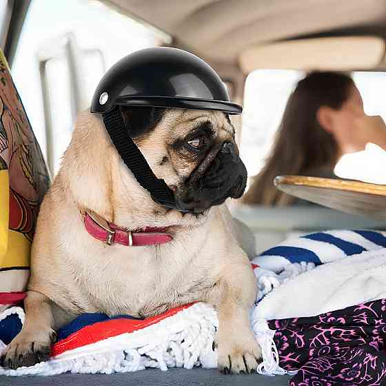 Мотошолом для тварин RESTEQ розмір M для собаки для кота міні шолом для улюбленців для мотоцикла велосипеда стильний аксесуар Київ