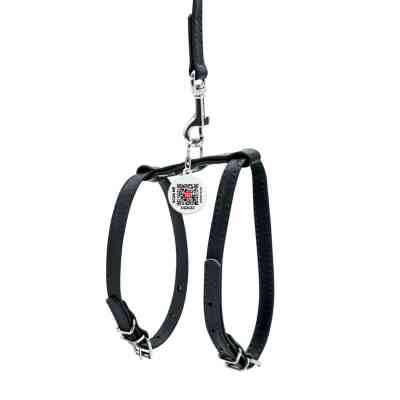 Шлея для собак WAUDOG Glamour з повідцем шкіряна Ш 12 мм А 25-33 см В 35-43 см чорна (34001) Вінниця