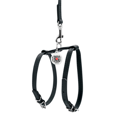 Шлей для собак WAUDOG Glamour с поводком кожаная Ш 12 мм А 25-33 см В 35-43 см черная (34001) Винница - изображение 2