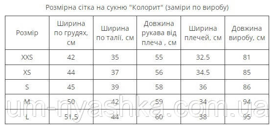 Чорна сукня з вишивкою Колорит Кривий Ріг - фото 10
