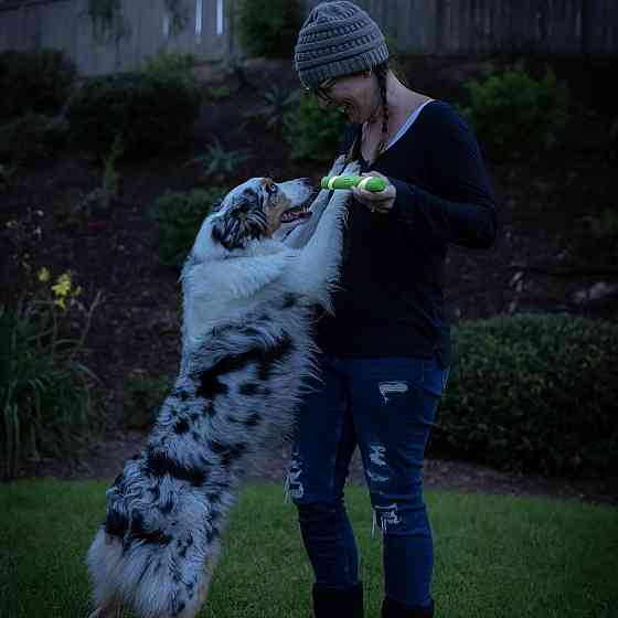 Палочка для собак Chuckit! Max Glow Ultra Fetch Stick игрушка с сияющими в темноте вставками Винница