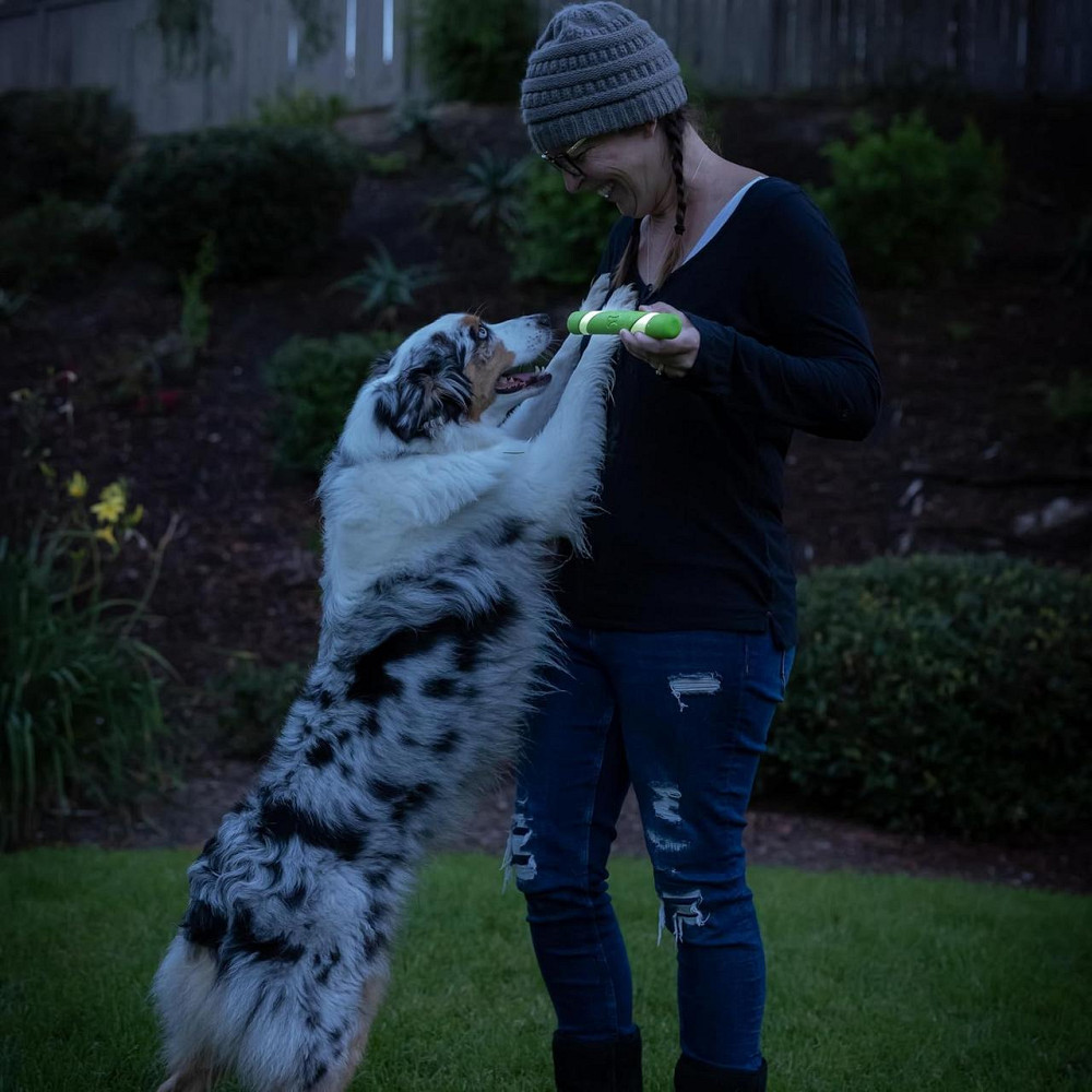 Палочка для собак Chuckit! Max Glow Ultra Fetch Stick игрушка с сияющими в темноте вставками Винница - изображение 6