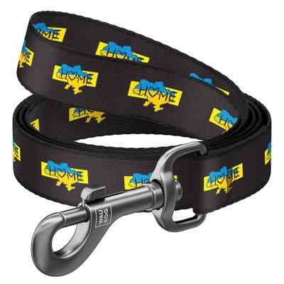 Повідець для собак WAUDOG Nylon "Дім" L-XXL 25 мм х 122 cм (342-0230) Вінниця