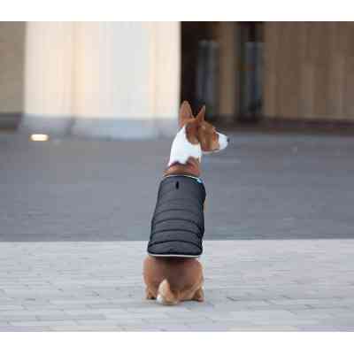 Курточка для тварин Airy Vest S чорна (15421) Вінниця