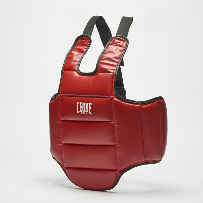 Захисний жилет тренера Leone PR336 Blue/Red Кам'янське - фото 1