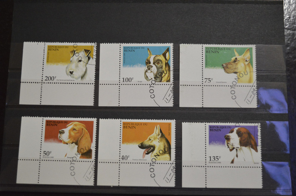 Фауна. Бенін. 1995 рік Полтава - фото 1