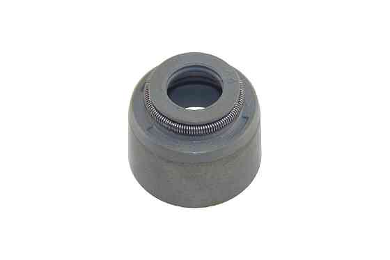 Сальник клапана HANSWERK Renault 3,0 DCi (ZD3) (HW140510) Київ