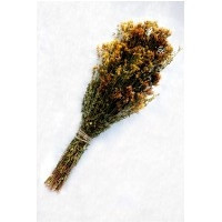 Веник запарочный для бани, ванны, сауны 