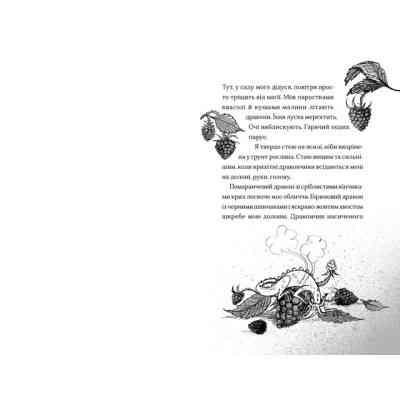 Книга Хлопчик, який співав з драконами. Книга 5 - Енді Шепард Видавництво Старого Лева (9789664482797) Винница