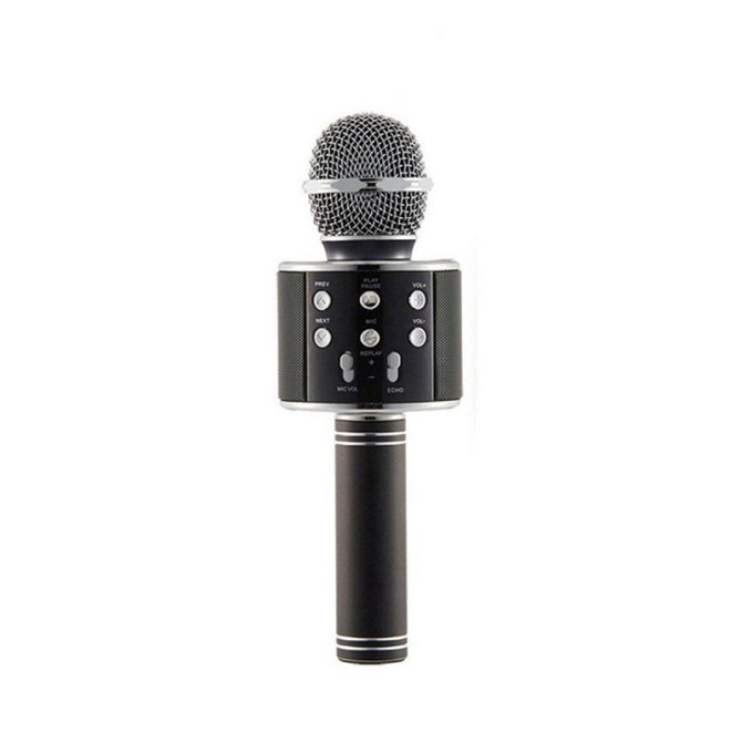 Мікрофон WS-858 WSTER BLACK Київ - фото 1