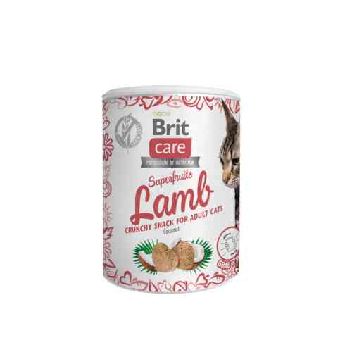 Лакомство Brit Care Superfruits Snack Lamb д/котов с ягненком и кокосом 100 г Киев