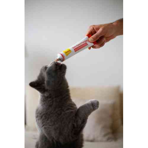 Вітаміни GimCat Every Day Extra мультивітамінна паста для котів для покращення імунітета 50 г Київ