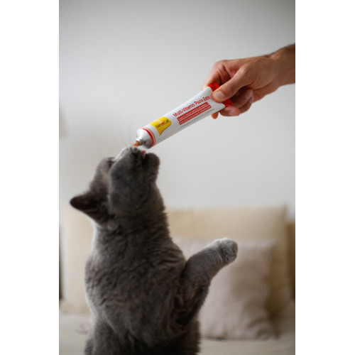 Вітаміни GimCat Every Day Extra мультивітамінна паста для котів для покращення імунітета 50 г Київ - фото 4